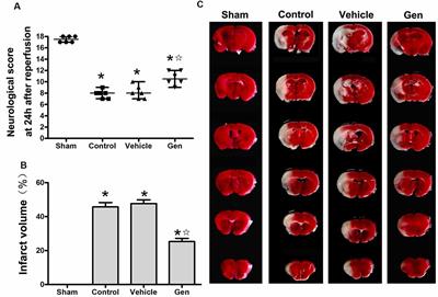 Genistein Attenuates Acute Cerebral Ischemic Damage by Inhibiting the NLRP3 Inflammasome in Reproductively Senescent Mice